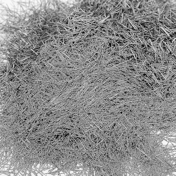 Ruostumattomasta teräksestä valmistettu kiillotusnaulat 0,2 mm/ 0,3 mm/ 0,4 mm/ 0,5 mm x 5 mm magneettisella rumpulla