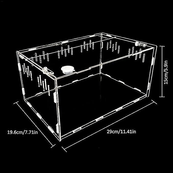 Transparent Reptilkasse Akryl Opdrætstanke 29cm Firben