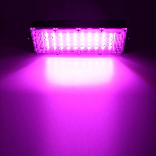 Led Vækstlys 50w 100w Fuld Spektrum Phyto Floodlight