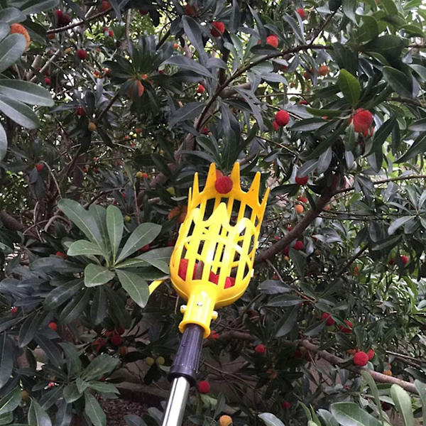 Frugtplukkerkurv til at plukke frugt - Apple Picker - Praktisk uden stang