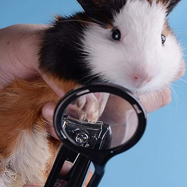 Nagelklippare för hamster med förstoringsglas - Säker nagelvård