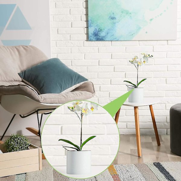 6 kpl Teko Phalaenopsis Orkidea Lehdet Järjestely Koriste