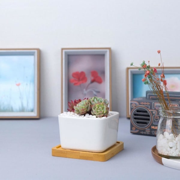Enkelt hvitt kreativt skrivebord kvadratisk keramisk blomstersett med  bambusbrett Sukkulentplantepottesett (1 stk) 0366 | Fyndiq