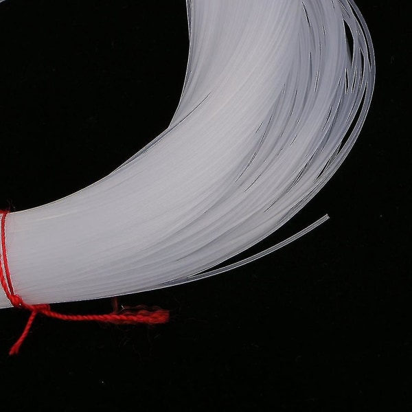 2kpl 100 metriä kirkas nylon , halkaisija 1 mm vene/valettu siima lankakoukku sidonta-yuhao