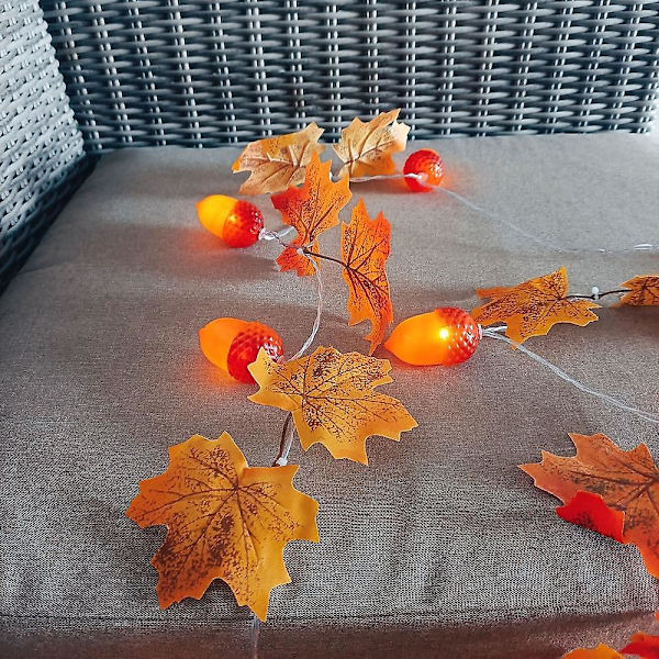Ek & Lönnlöv Fairy String Lights Höst 2m 10led Batteri Jul