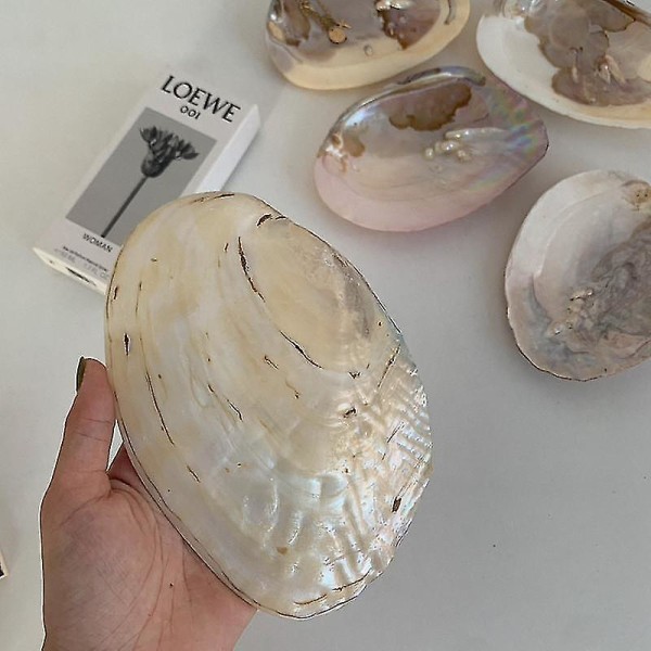 Pearl Shell Bordbakke Trinket Parfume Dekorativ Bakke