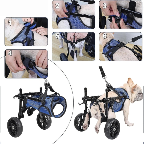Hjulstol for hund for bakbein, lett hundehjulstol for små hunder, beinbrakett og hofte støtte, justerbare mobilitetshjelpemidler for funksjonshemmede kjæledyr bu-m