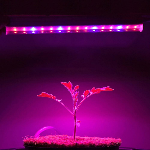 30cm LED-vekstlys 6w T5-rør Fullspektrum Phytolamps