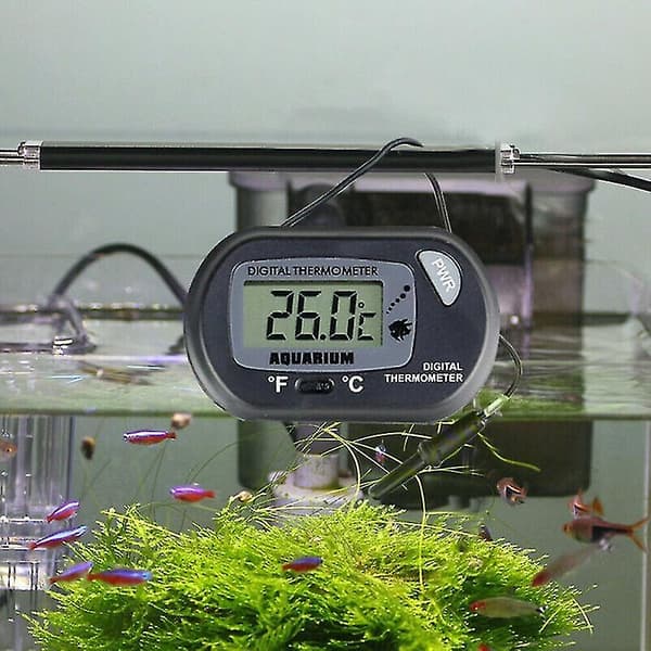 LCD Digital Akvarietermometer, Nedsänkbar