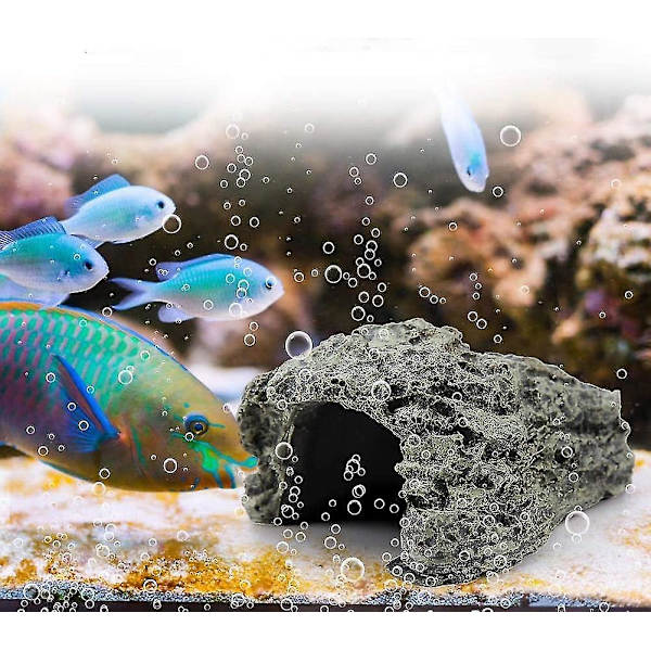 Fisk Skjulested Hule Skildpadde Harpiks Hule Akvarium Habitat