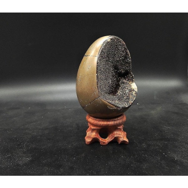 Natural Dragon Septarian Geode Egg Mineral Eximen