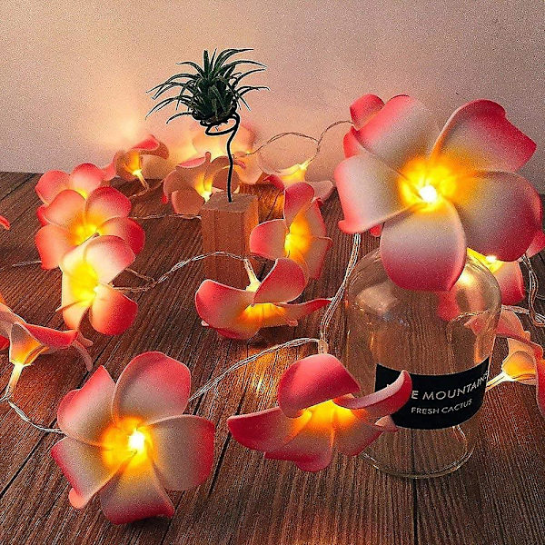 20 LED Blomsterlysstreng Bryllupsguirlande Batteri USB Drevet