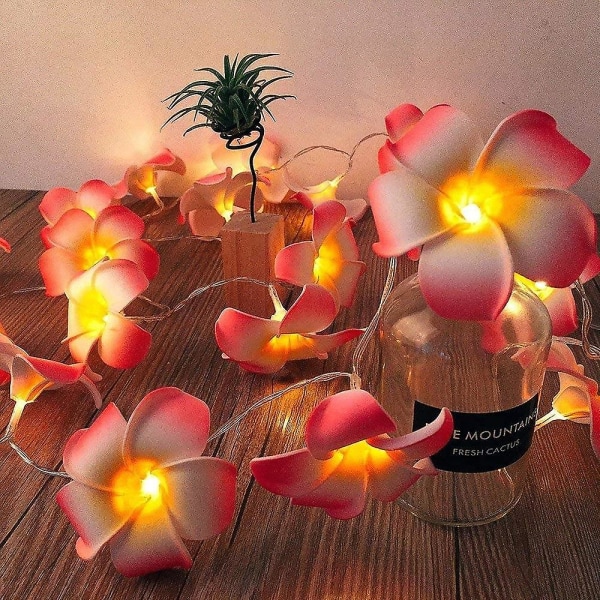 20 lysdioder Flower String Lights Bröllopsgirland Batteri USB driven