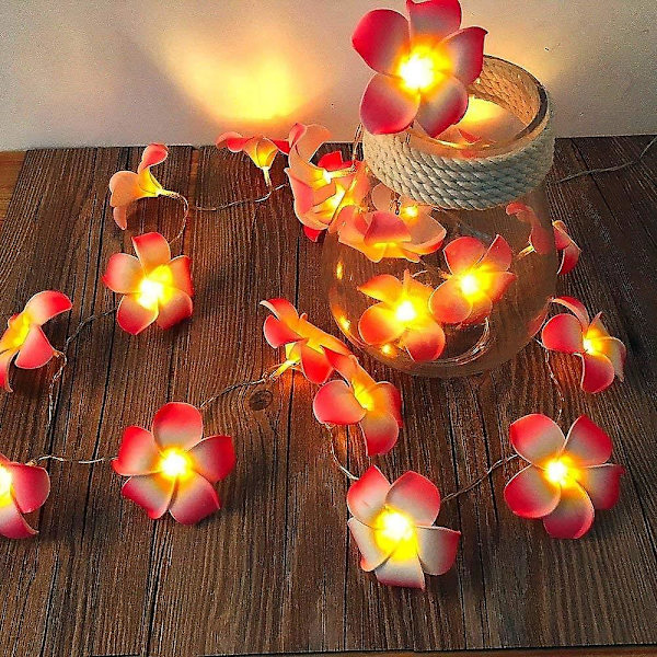 20 LED Blomsterlysstreng Bryllupsguirlande Batteri USB Drevet