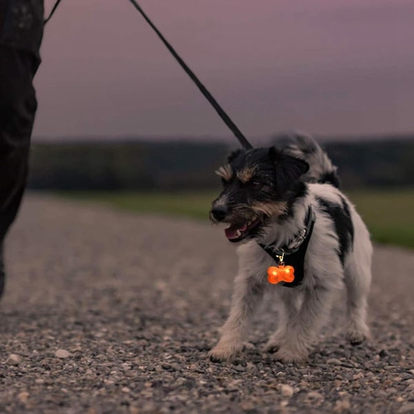 4 st LED-hundbricka Ljus Glödande Benformad Etikett Lyser Upp Etikettlampa