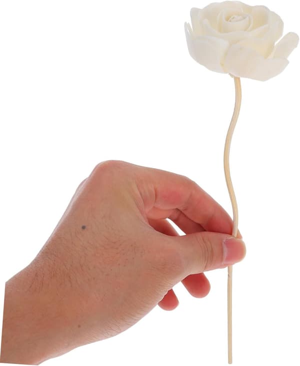 6 st rottingpinnar för doftspridare, 5 cm, aromaterapi, påfyllning för eterisk olja