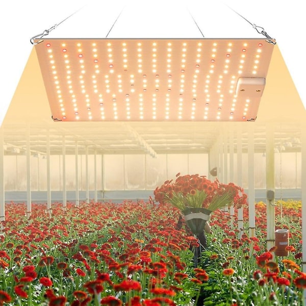 Led Grow Lights Innendørs Planter Full Spectrum Drivhus 20