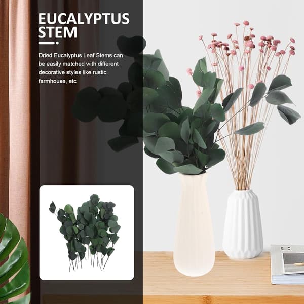 1 bunt tørkede eukalyptusbladstilker Eukalyptus midtpunkter 45 cm bevart blomst rustikk gårdsstil