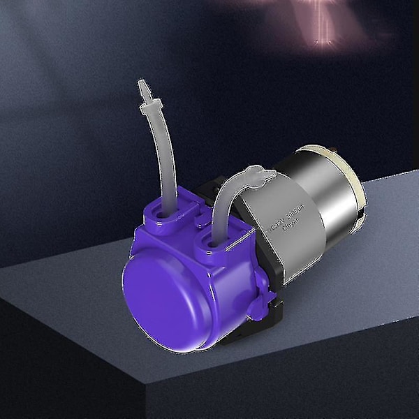 Mini Husholdningsvannpumpe Stille Selvsugende Pumpe Med Slange Automatisk Pumpe Med Sterk Kraft 6A