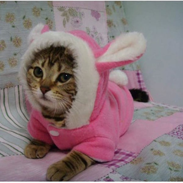Kissan vaatteet Lemmikkieläimet Hupparit Suloinen kanin muotoinen lemmikkitakki