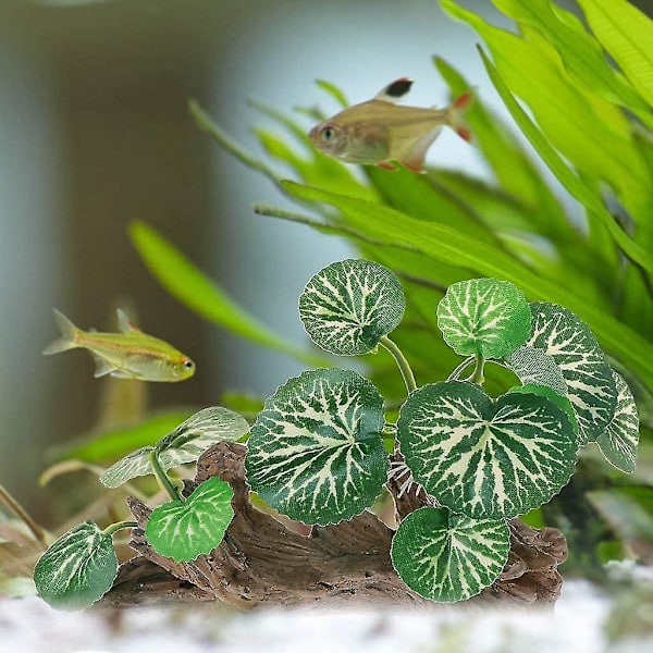 Vattenväxter Gröna Blad Akvarium Dekoration Trä