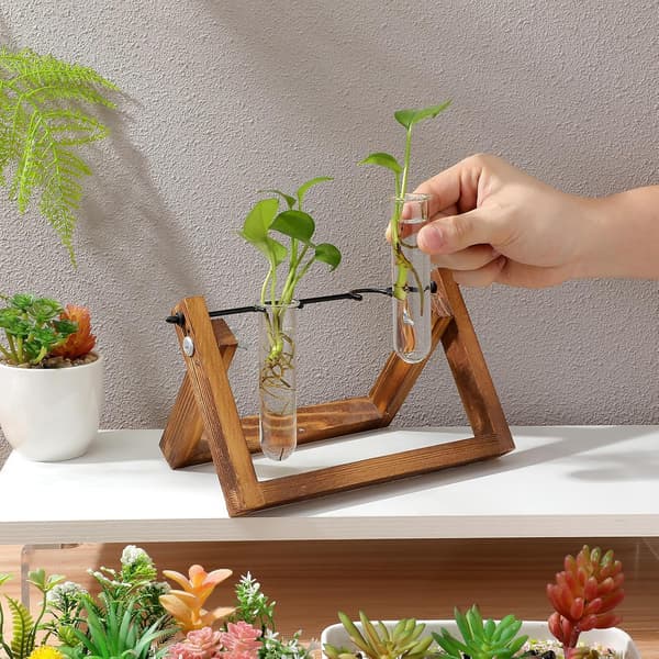 5 st växtförökningsstationrör Glas Blomvattenrör Modern stil Elegant
