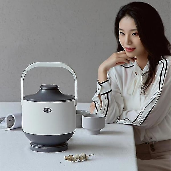Multifunksjonell Riskomfyr Mini Smart Dampkoker