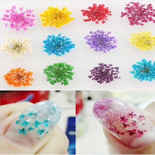 12 farger blandede tørkede blomster Nail Art Stickers Set