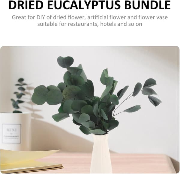 1 bunt tørkede eukalyptusbladstilker Eukalyptus midtpunkter 45 cm bevart blomst rustikk gårdsstil