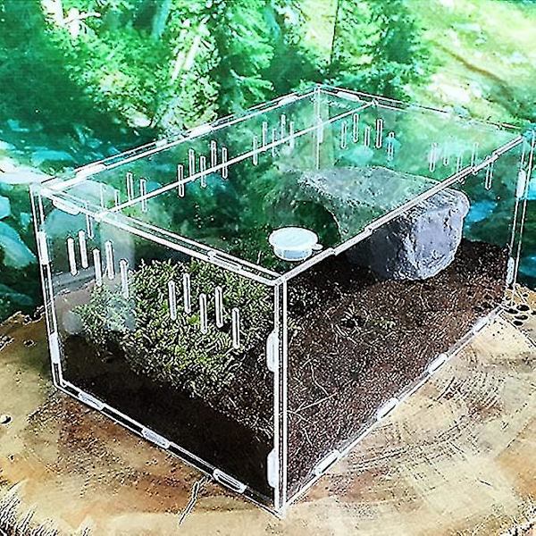 Transparent Reptilkasse Akryl Opdrætstanke 29cm Firben