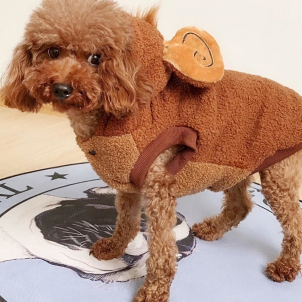 Hund og Kattejakke med Abe-Design - Behagelig Hættetrøje til Vinteren 2XL