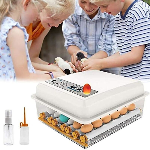 36 Ägg Inkubator Helt Automatisk Brooder Äggbricka Kläckning