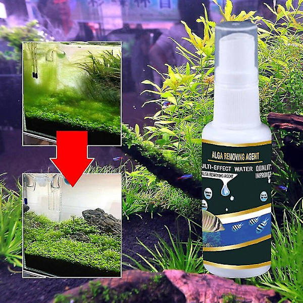 30ml Effektiv Akvarieałgkontroll Renare Vattenkvalitet