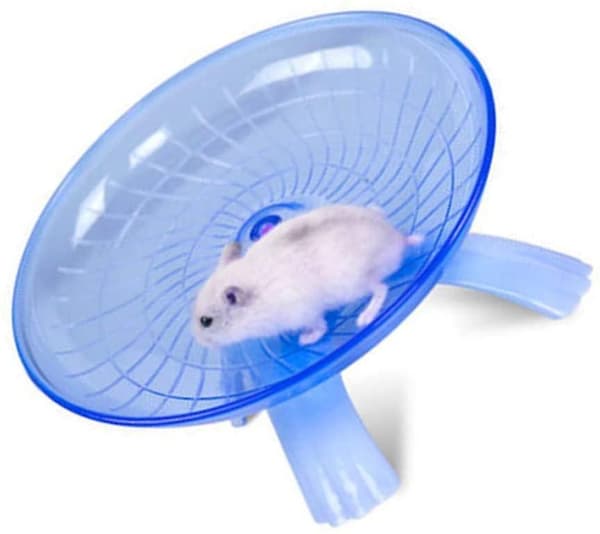 Premium Hamsterhjulskive Legetøj til Små Dyr