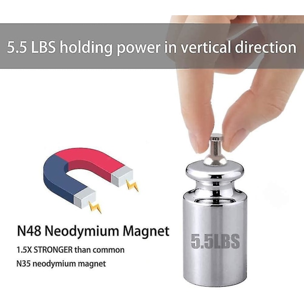 Køleskabsmagneter Køleskabsmagneter Magnetiske tryknåle, tryknålsmagnet, magnetiske tommelfingerstifter til køkken, kontor, skole, whiteboard, børstet nikkel1