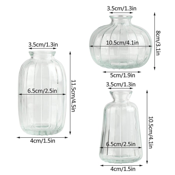 Vaser Ornament Farget Transparent Glass Multi-type
