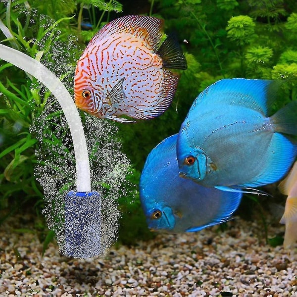 Akvaarion ilmakivisylinteri kuplan irrotusilmakivi lammen akvaariopumppuun (6 kpl, sininen)
