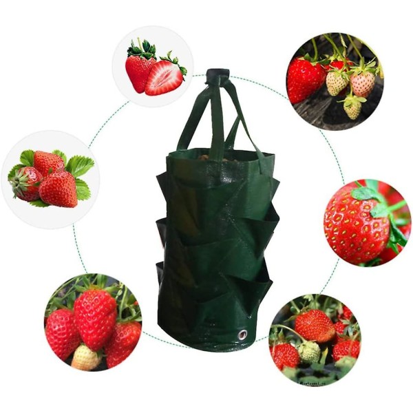 3 gallons Planting Grow Bag, Hengende Jordbærposer, Plast Strawberry Planter Poser