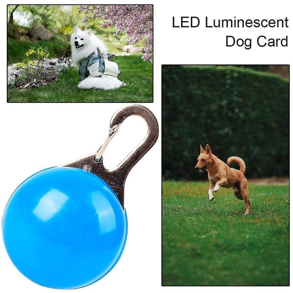 Led Dog Pet Tag Lysende Pendant Blinkende Safety Night Light