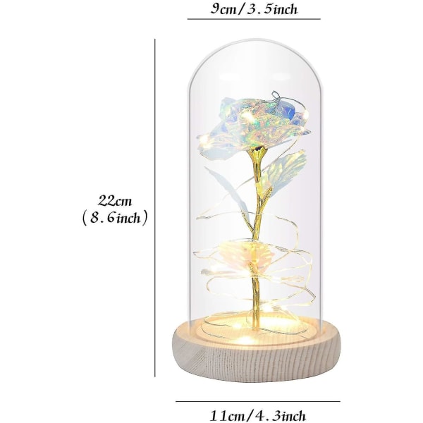 Roseblomst Gave Skønhed Og Udyret Rose Led Lys Glaskuppel Træ
