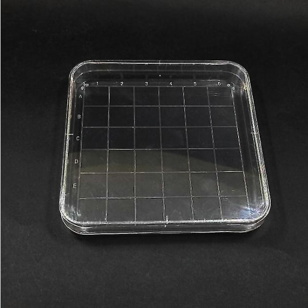 10 stk Klar 10x10cm Skaleret firkantet plast petriskål