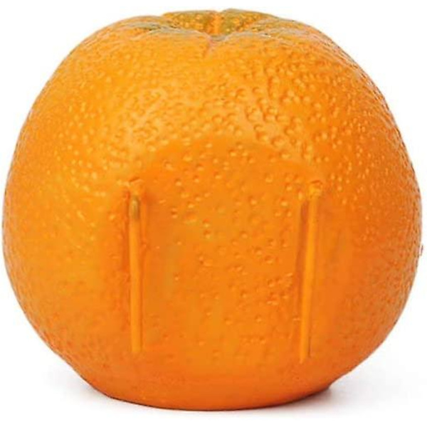 Fuglefoder Fuglefoder Skålformet Orange Papegøje Papegøje Foderretter Kop Til Små Papegøjer