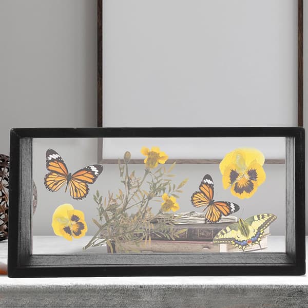Kreativ pressad blomram med akryl- och trämaterial, mångsidig skuggdisplayram