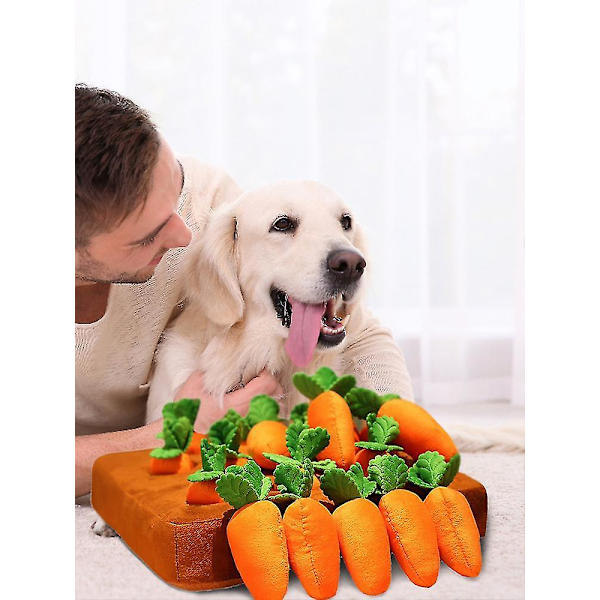 Seek Carrot Farm Hundeleksak Långsam utfodring Stressreducering