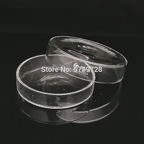 5 stk. 75mm Borosilikat Glas Petriskål Bakterier