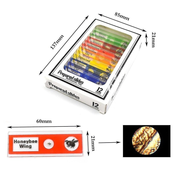 Trinokulært mikroskop børn 100x-400x-1200x Biology Kit