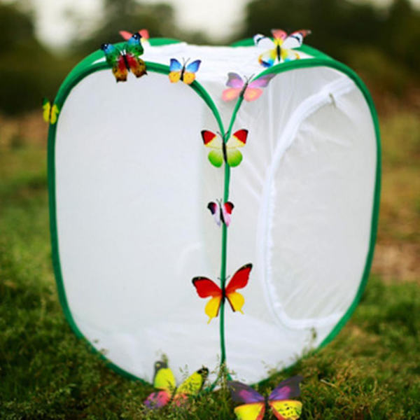 Høj Stor Butterfly Habitat Bur Collapsible Terrarium Pop-up Lnches, Insekt Og Butterfly Net Til Opdræt Indsæt