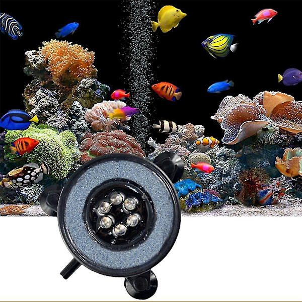 Vandfast LED Multi Farvet Akvarielampe QP-50 1.2W
