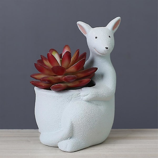 Nordisk Kænguru Formet Keramik Sukkulent Plantepot Dyr Kaktus Blomst Pot Miniatur Holder