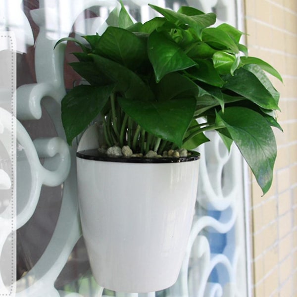 Väggmonterad Planter, Väggmonterad Planter Automatisk Vattenabsorberande Lat Plast Väggmonterad Planter (svart+vit) (1 st)
